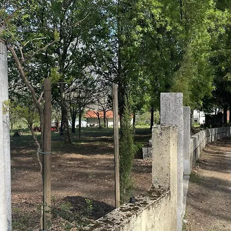 Alojamento de Turismo Rural Quinta Do Plaino *